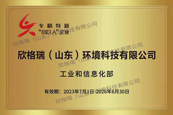 國家級專精特新“小巨人”企業(yè)